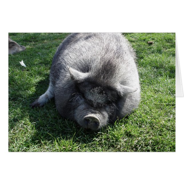 離れ一人 (正面横)