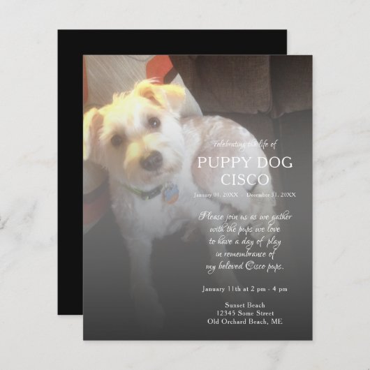 離れ写真追記 (正面/裏面)