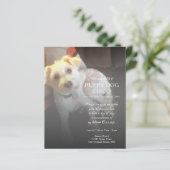 離れ写真追記 (スタンド正面)