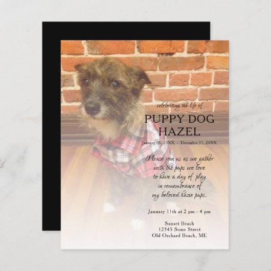 離れ写真追記 (正面/裏面)