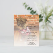 離れ写真追記 (スタンド正面)