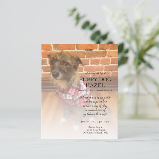 離れ写真追記 (スタンド正面)