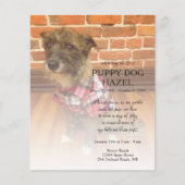 離れ写真追記 (正面)