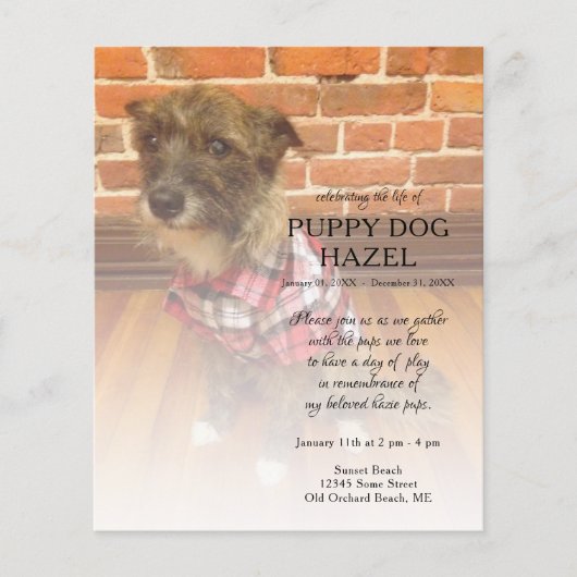 離れ写真追記 (正面)