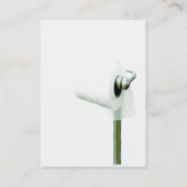 離れ家の鉛管工のためのぽっちゃりした名刺 名刺 (裏面)