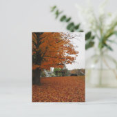 離れ葉書 ポストカード (スタンド正面)