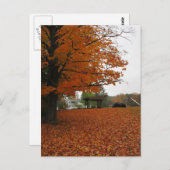 離れ葉書 ポストカード (正面/裏面)