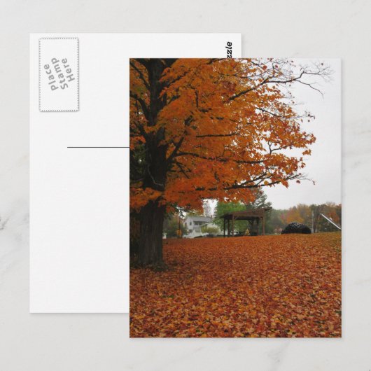 離れ葉書 ポストカード (正面/裏面)
