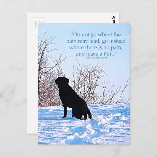 離れ追跡 – 感動的引用文- Black Lab ポストカード (正面/裏面)