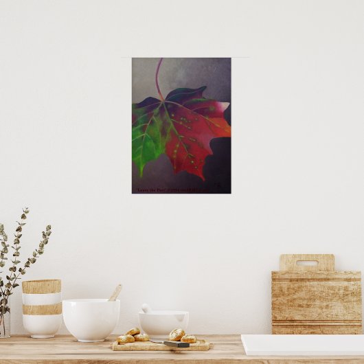 離れ過去 ポスター (キッチン)