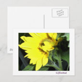 離れ顔 ポストカード (正面/裏面)