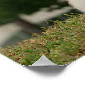 離乳座 ポスター (角)