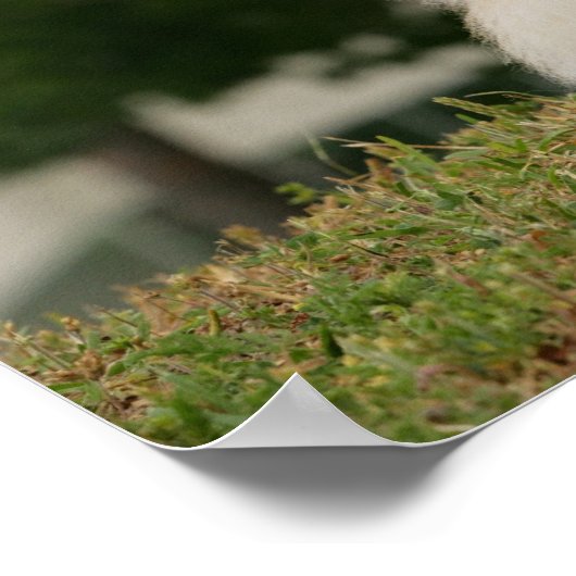 離乳座 ポスター (角)