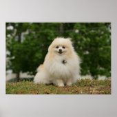 離乳座 ポスター (正面)