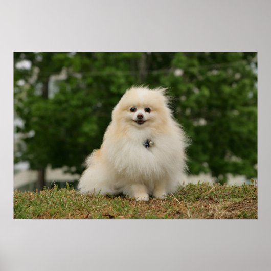 離乳座 ポスター (正面)