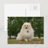 離乳座 ポストカード (正面/裏面)