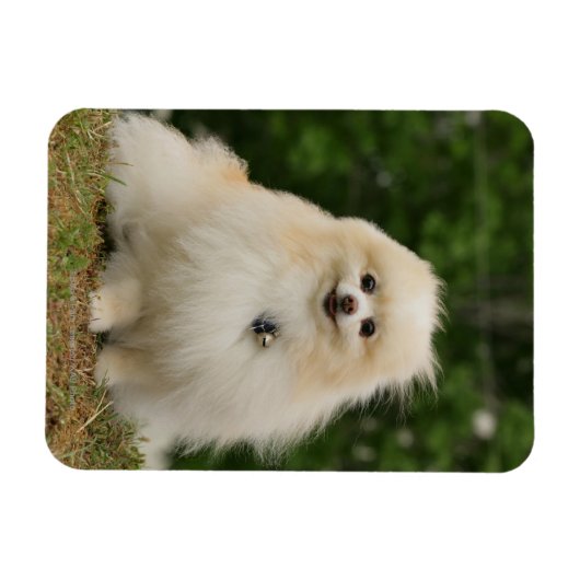 離乳座 マグネット (横)