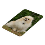 離乳座 マグネット (左側)