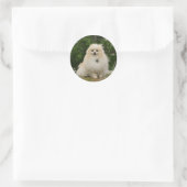 離乳座 ラウンドシール (バッグ)