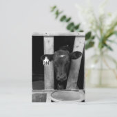 離乳済 ポストカード (スタンド正面)