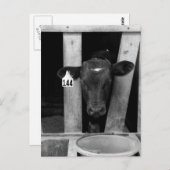 離乳済 ポストカード (正面/裏面)