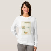 離婚する32夫婦の状態1890年 Tシャツ (正面フル)