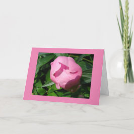 離婚カード カード