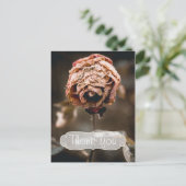 離婚パーティーデッドバラありがとう ポストカード (スタンド正面)