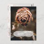 離婚パーティーデッドバラありがとう ポストカード (正面/裏面)