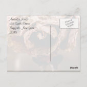 離婚パーティーデッドバラありがとう ポストカード (裏面)