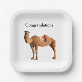 離婚パーティー紙プレート ペーパープレート