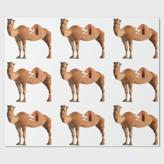 離婚包装紙 ラッピングペーパー (フラット)