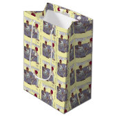 離婚率抱き枕 ミディアムペーパーバッグ (正面アングル)