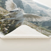 離陸の準備をするペガサス シェルパブランケット (3/4)