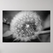 離陸の準備!!! ポスター (正面)