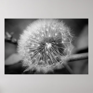 離陸の準備!!! ポスター