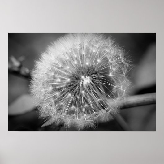 離陸の準備!!! ポスター (正面)