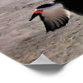 離陸 ポスター (角)