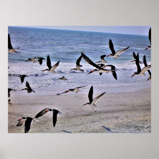 離陸 ポスター (正面)