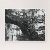 難しいモノクロ自然 ジグソーパズル (横)