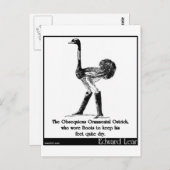 難攻不落の装飾用ダチョウ ポストカード (正面/裏面)