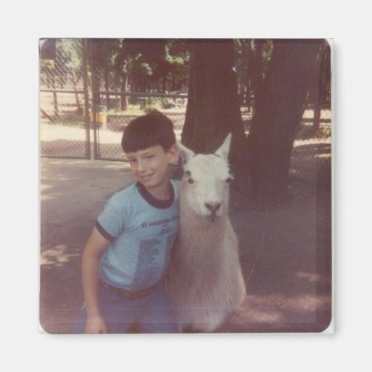 難破したUm Llamaハグ磁石 マグネット (正面)