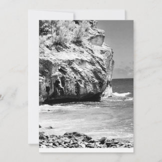 難破船の崖、カウアイフ空白のラットサンキューカード サンキューカード