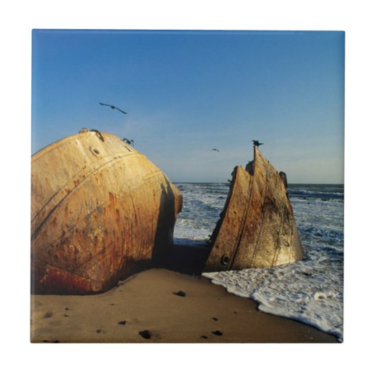 難破船オンビーチ（ナミビア） タイル (正面)