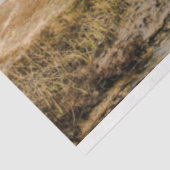 難破船海20x30デコページ 薄葉紙 (詳細)