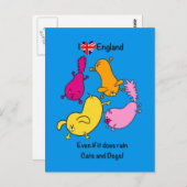 雨おもしろいの猫と犬の漫画、ロンドンを愛する ポストカード (正面/裏面)