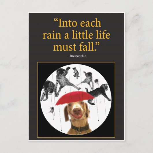 雨が降っている！ ポストカード (正面)