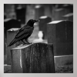 雨が降り続かない ポスター