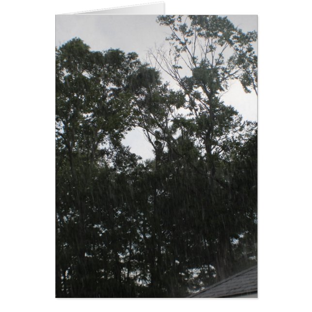 雨が降る遠くに (正面)