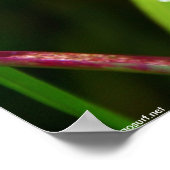 雨が降る ポスター (角)